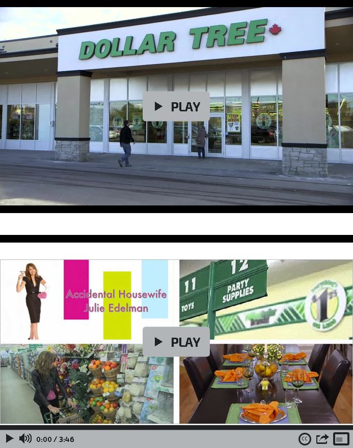 DOLLAR TREE Flyer Mall